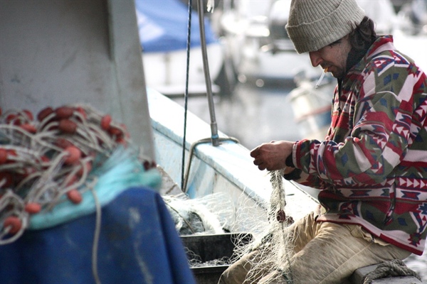Giornata Mondiale della Pesca: 8.000 giorni in mare nella vita di un pescatore. Fedagripesca lancia il “Patto per il Mare” e misure per attrarre i giovani